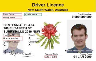 australian drivers license number generator